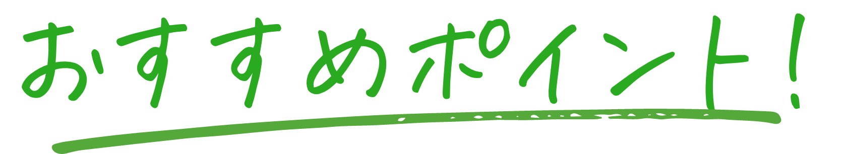 おすすめポイント